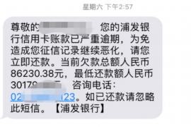 内蒙古为什么选择专业追讨公司来处理您的债务纠纷？